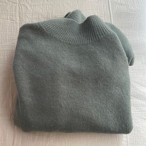 A turtle neck sweater (green)